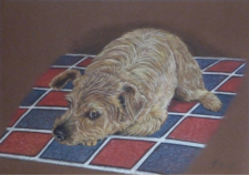 "Der Hundeblick", Pastell, 42 x 29,7 cm